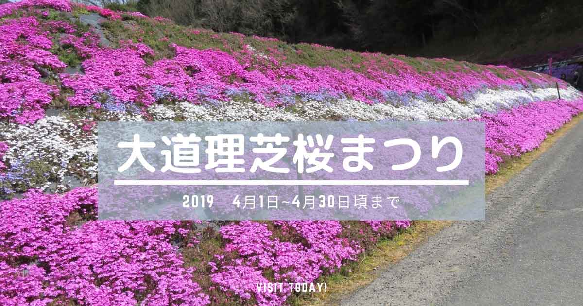 大道理芝桜まつり2019